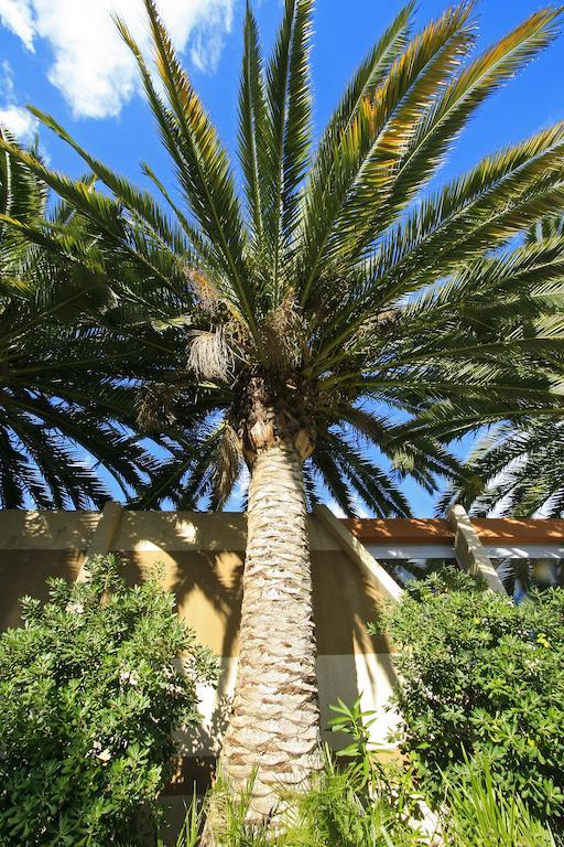 נים Logis Nimotel Hotel Cosy מראה חיצוני תמונה