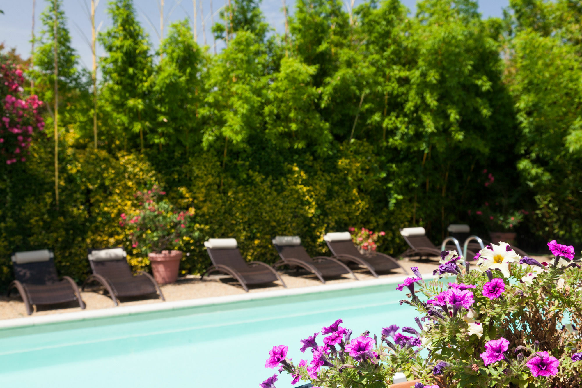נים Logis Nimotel Hotel Cosy מראה חיצוני תמונה